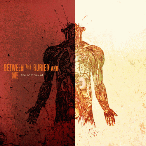 Between The Buried And Me : The Anatomy of